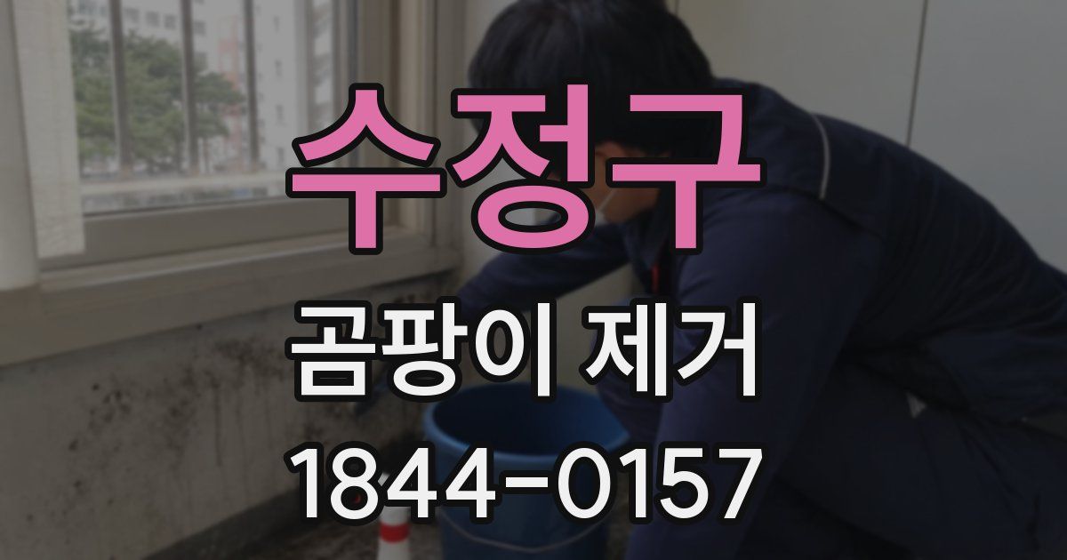 수정구 곰팡이 제거