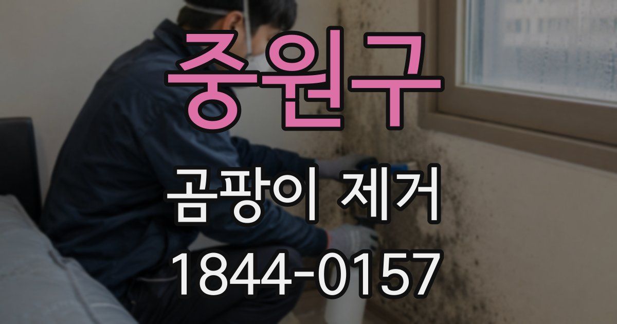 중원구 곰팡이 제거