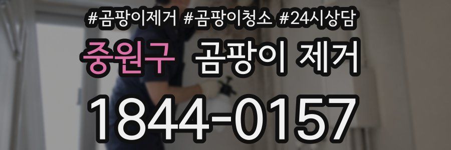 중원구 곰팡이 제거