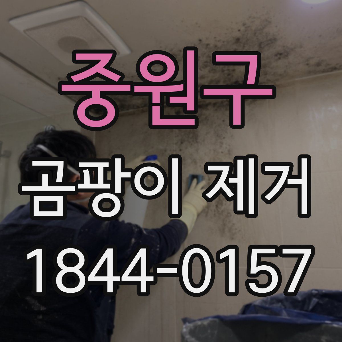 중원구 곰팡이 제거