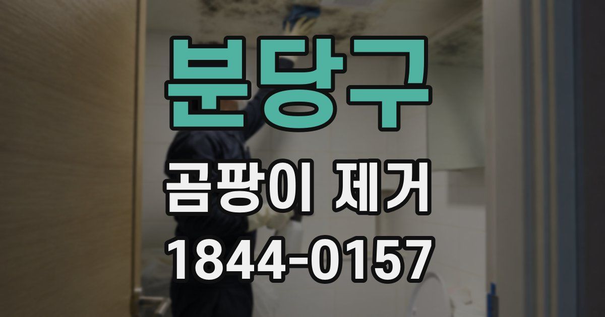 분당구 곰팡이 제거