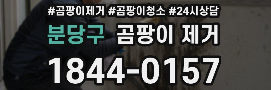 분당구 곰팡이 제거