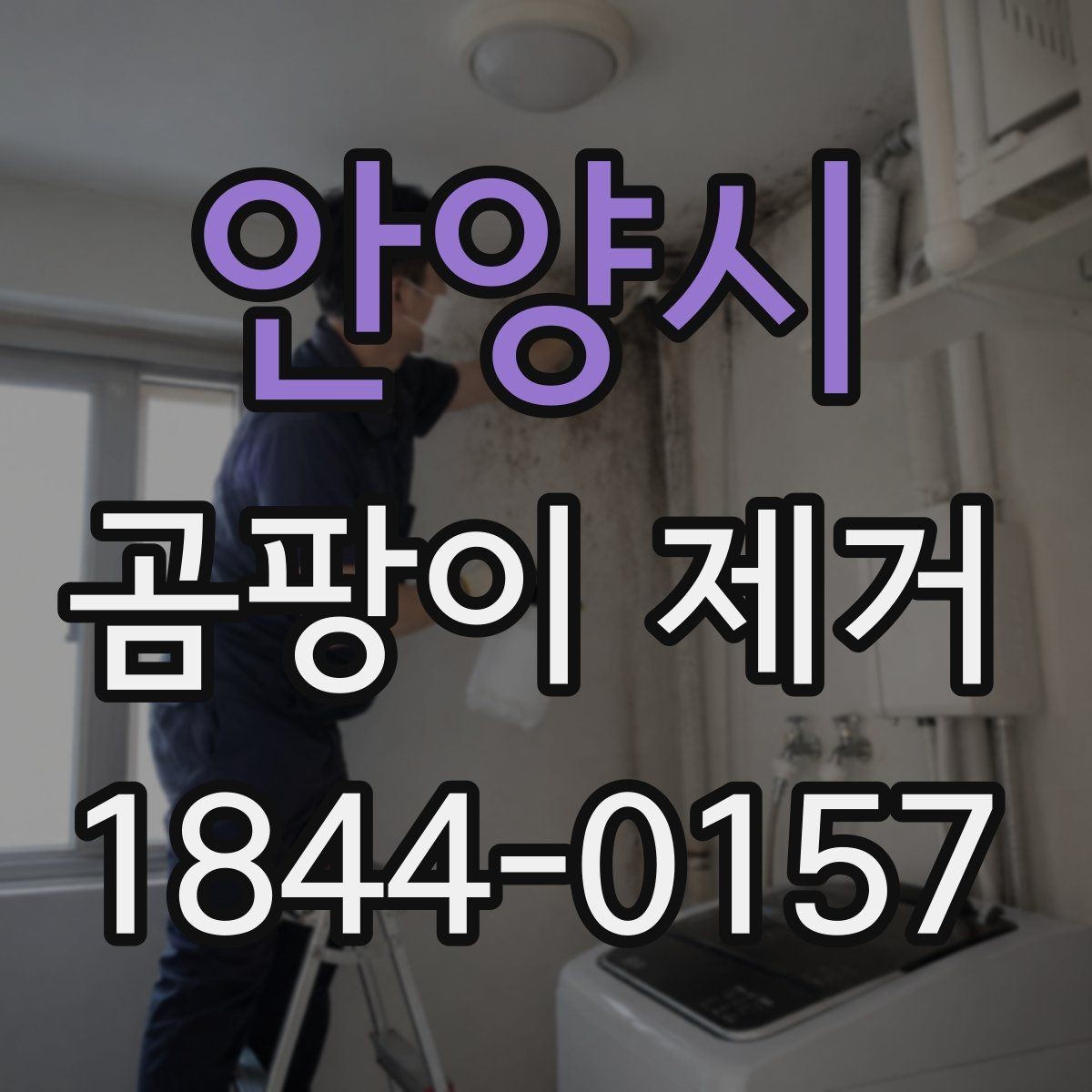 안양시 곰팡이 제거 곰팡이 발생 위치별 원인과 조치