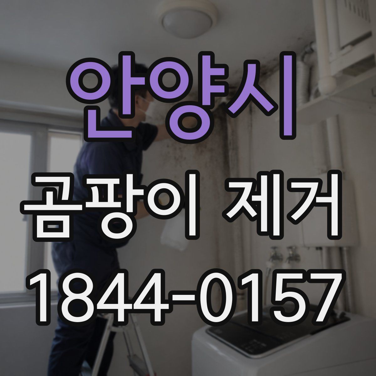 안양시 곰팡이 제거