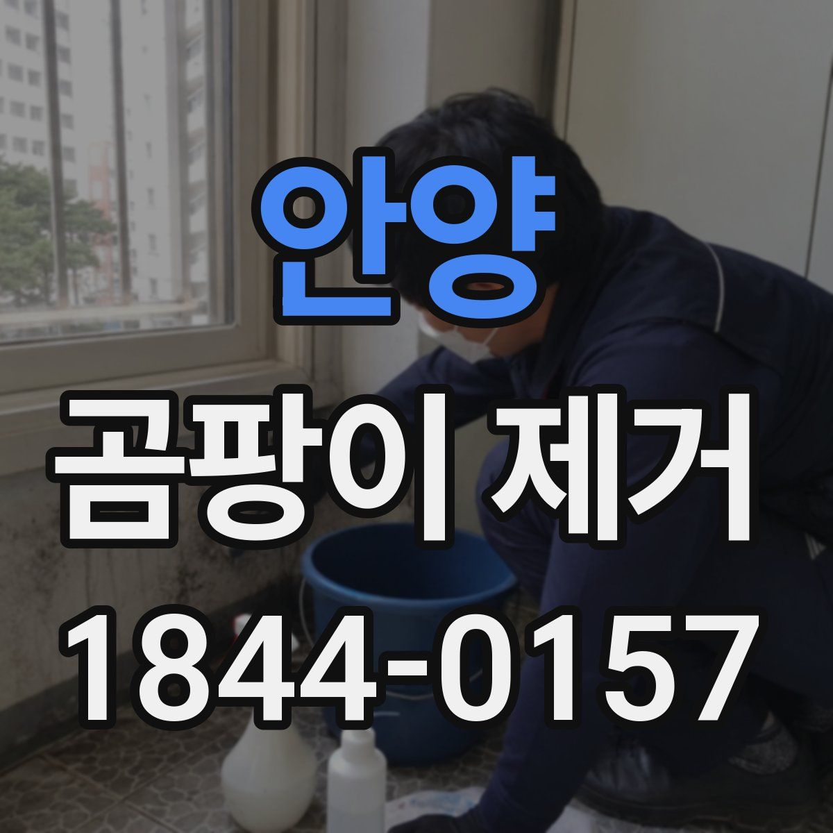 안양 곰팡이 제거