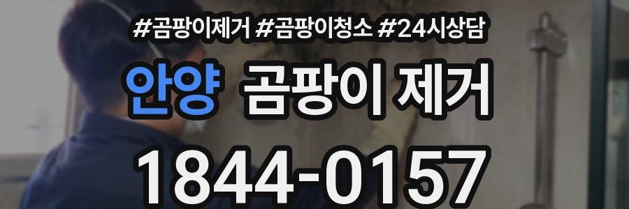 안양 곰팡이 제거