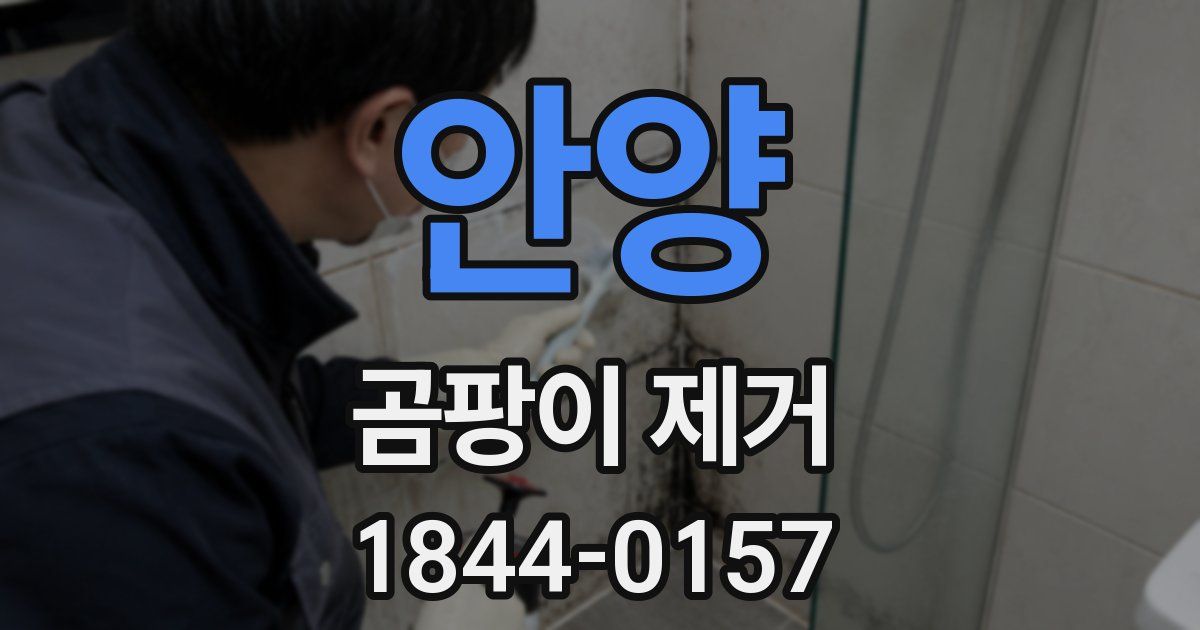 안양 곰팡이 제거