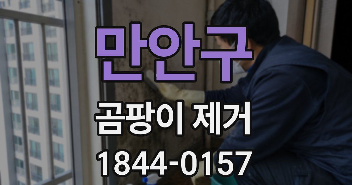 만안구 곰팡이 제거