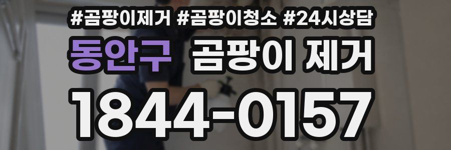동안구 곰팡이 제거