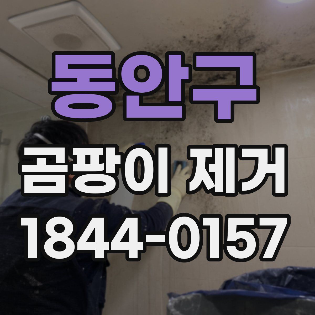 동안구 곰팡이 제거