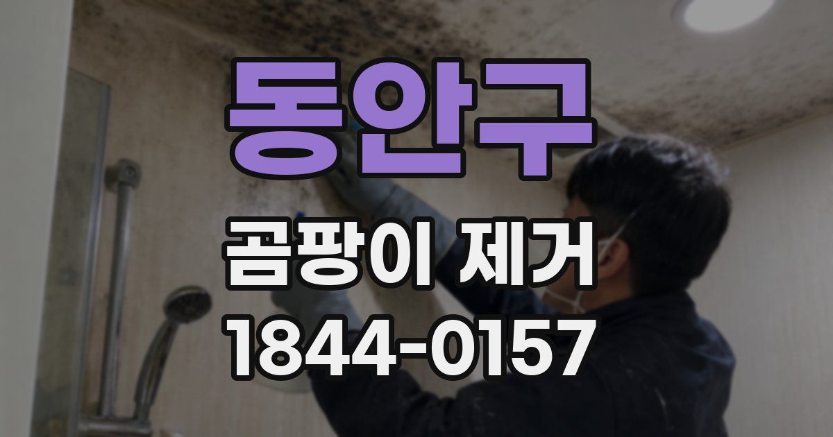동안구 곰팡이 제거