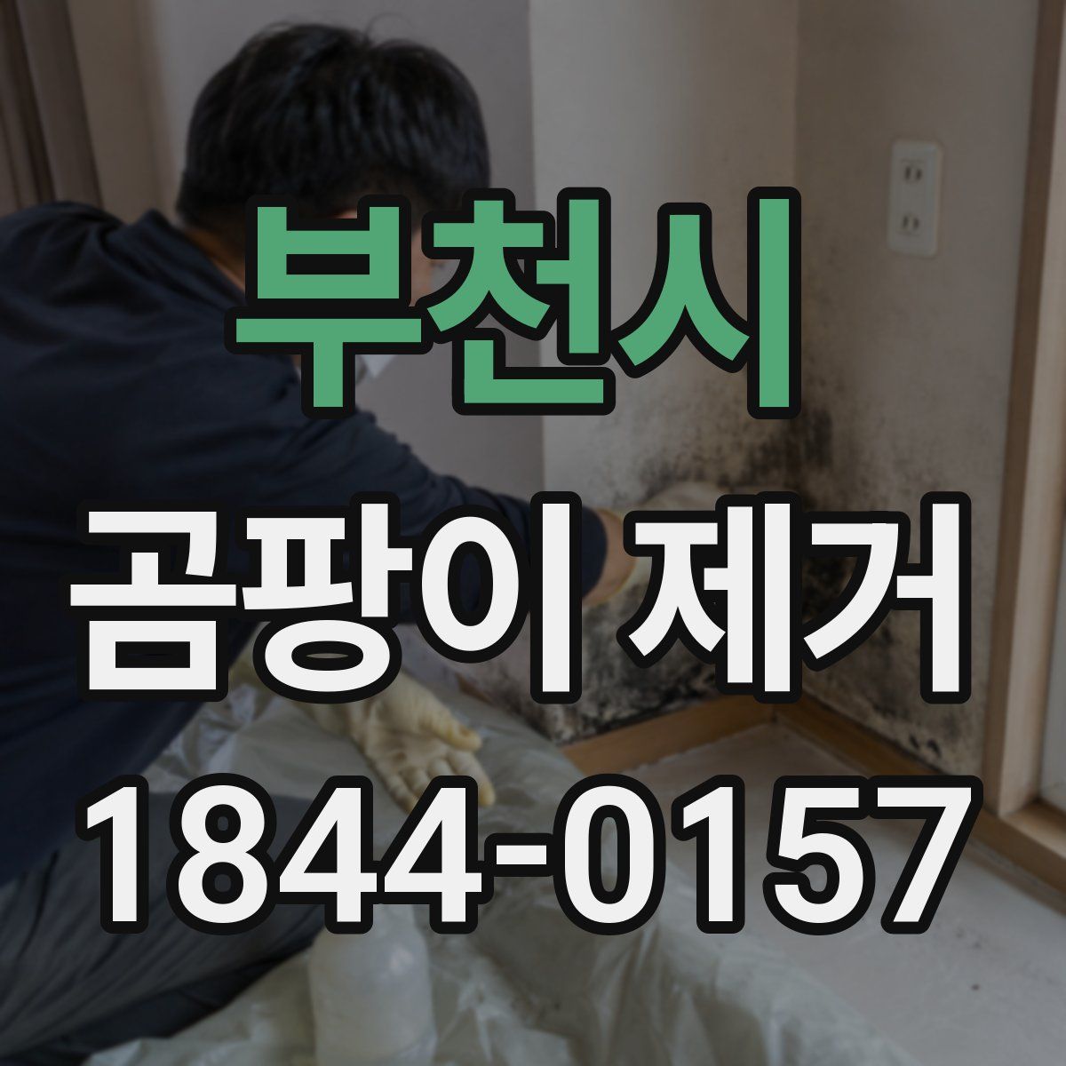 부천시 곰팡이 제거
