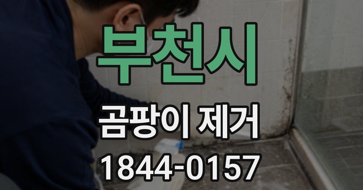부천시 곰팡이 제거