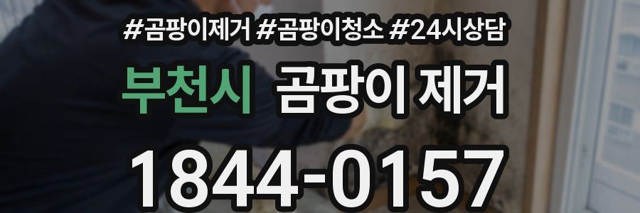 부천시 곰팡이 제거