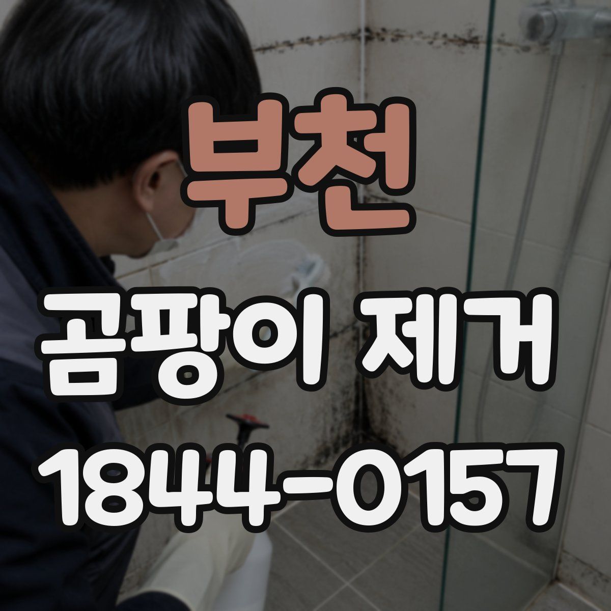 부천 곰팡이 제거