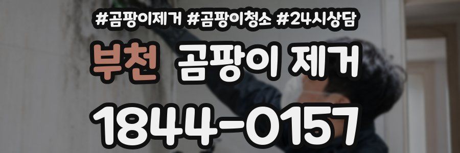 부천 곰팡이 제거