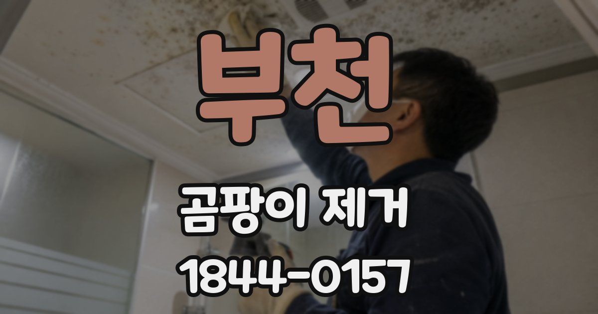부천 곰팡이 제거