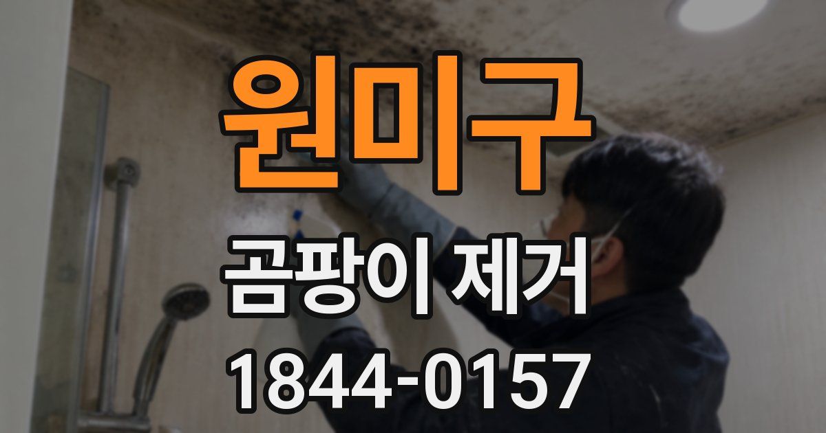 원미구 곰팡이 제거