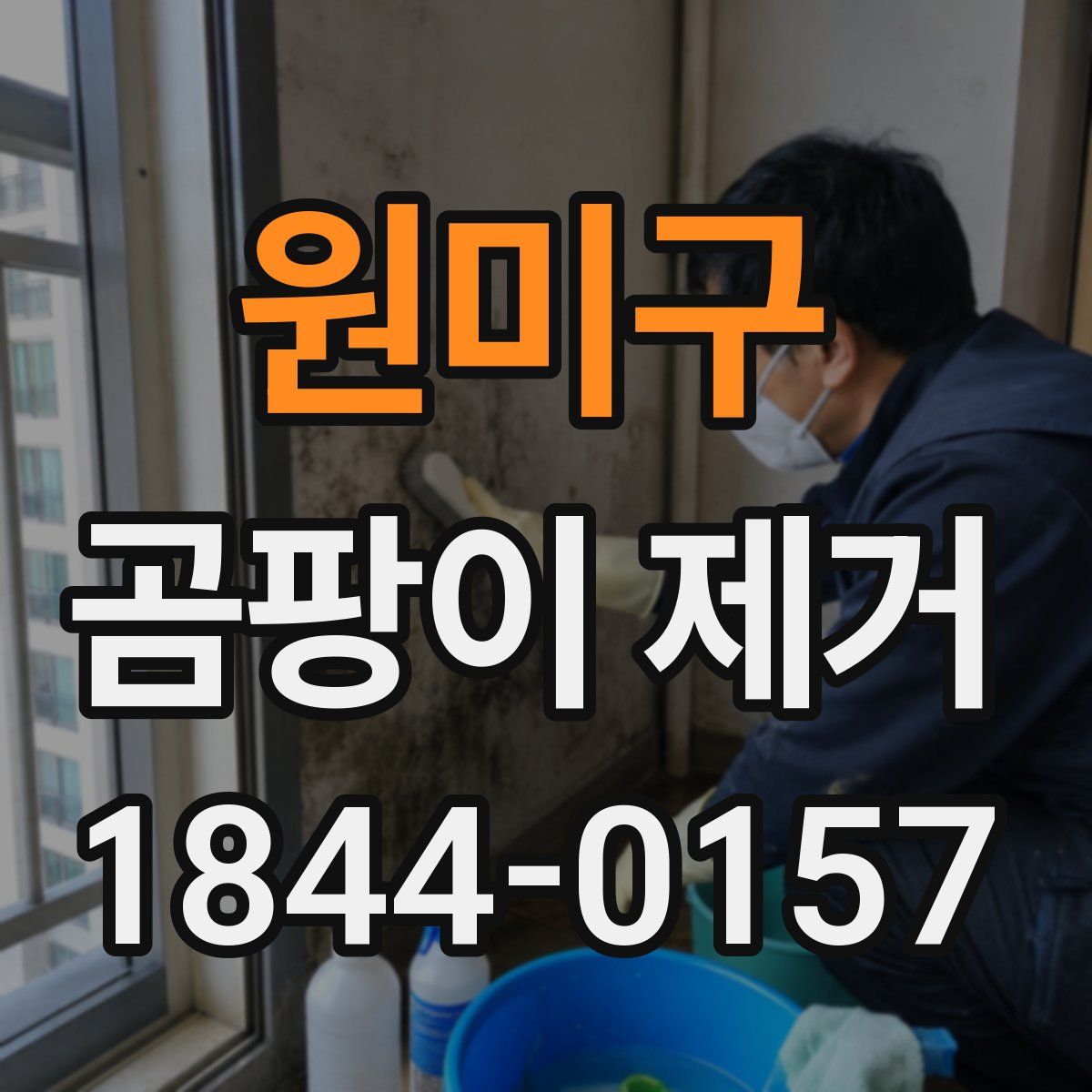 원미구 곰팡이 제거