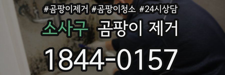 소사구 곰팡이 제거