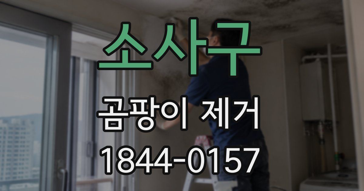 소사구 곰팡이 제거