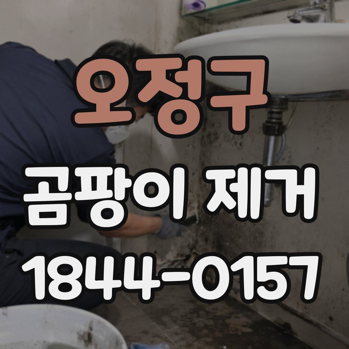오정구 곰팡이 제거