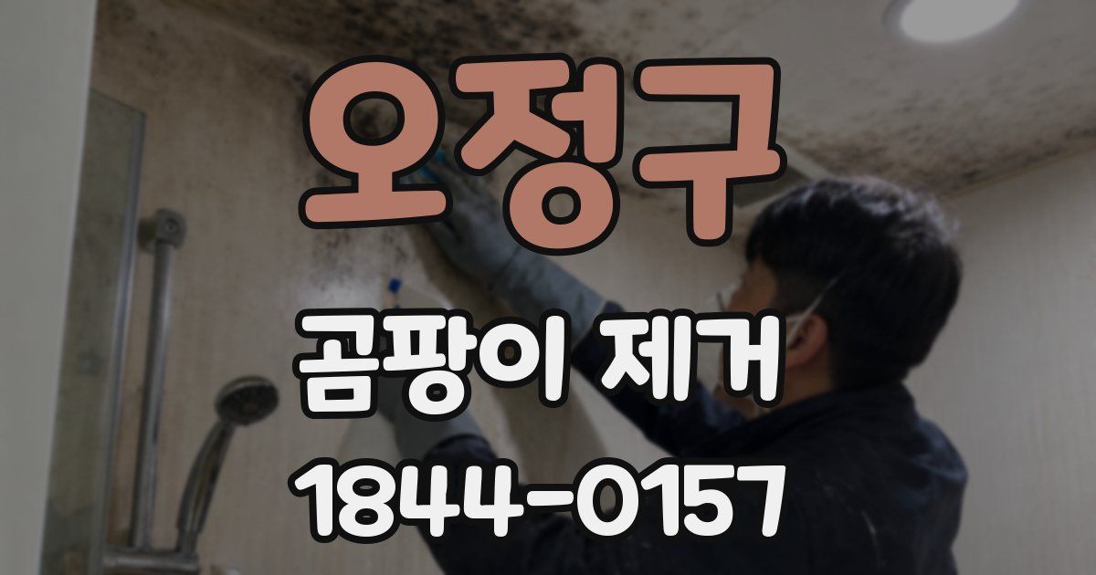오정구 곰팡이 제거