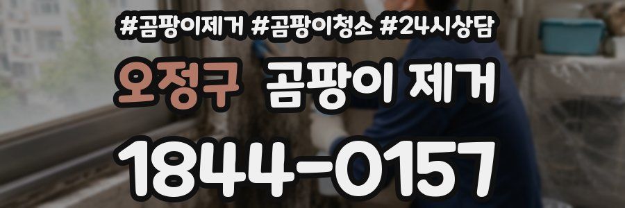 오정구 곰팡이 제거