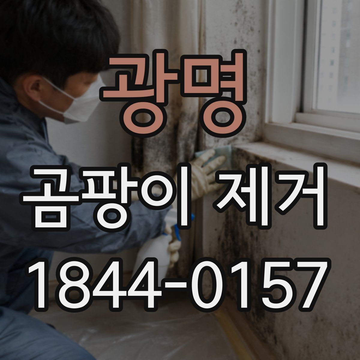 광명 곰팡이 제거 안전하게 시작하려면 먼저 봐야 할 항목