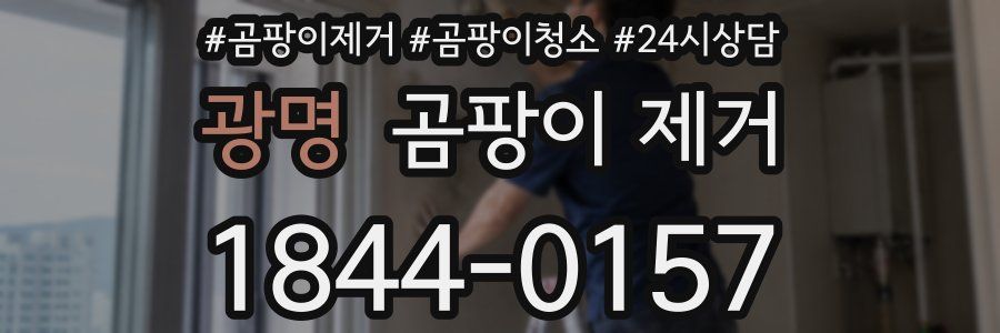 광명 곰팡이 제거