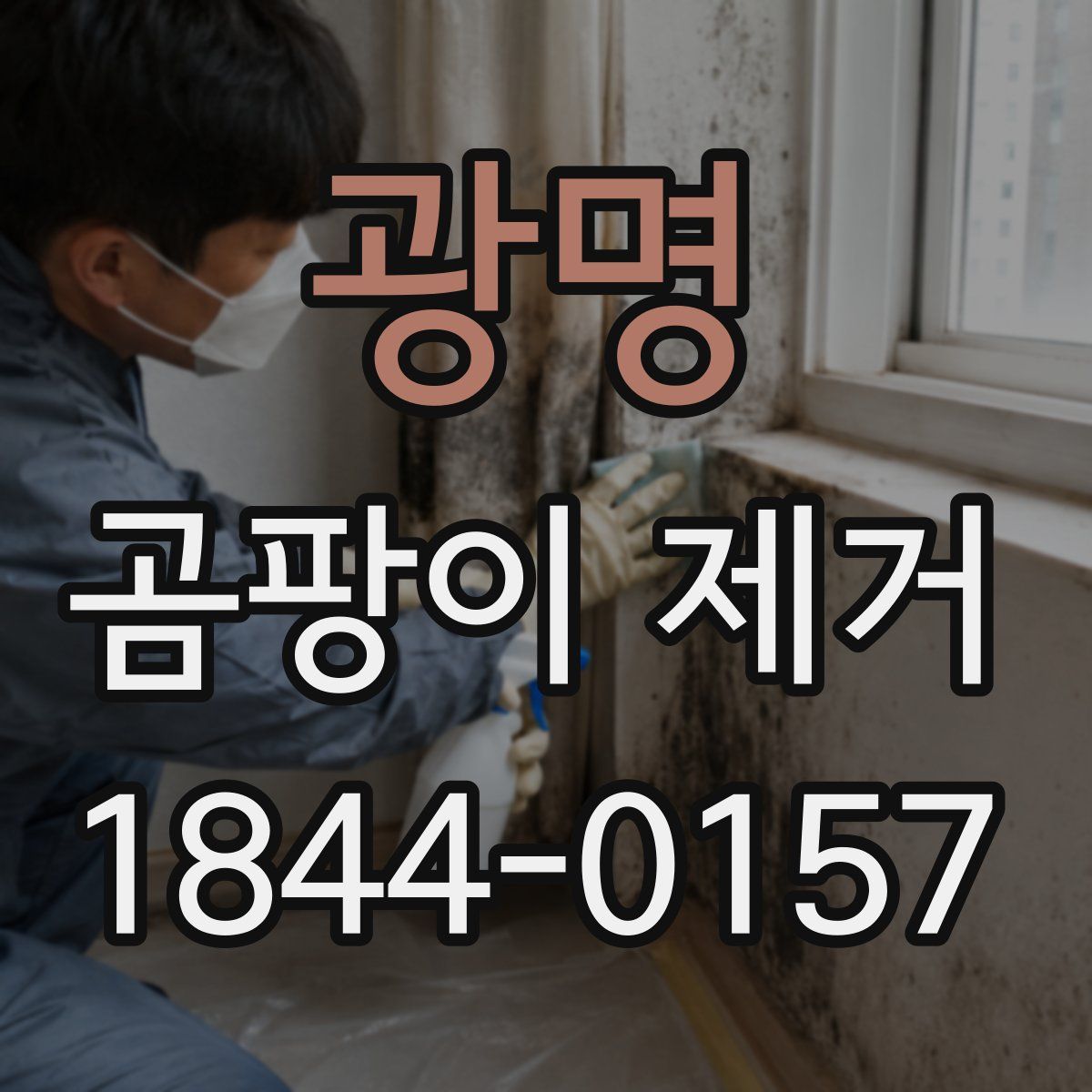 광명 곰팡이 제거