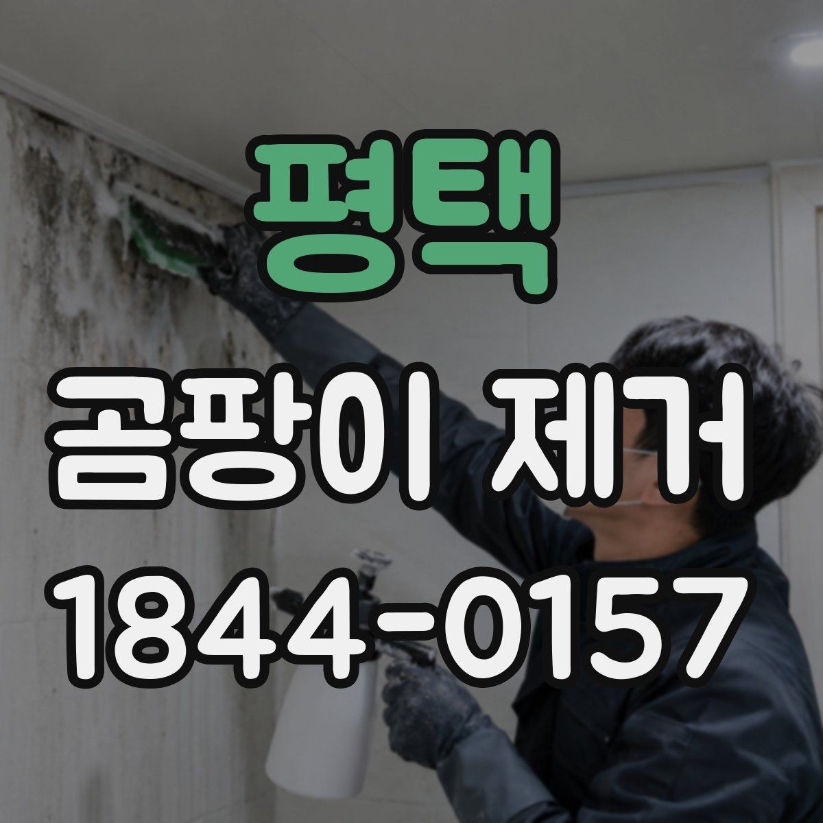 평택 곰팡이 제거 결로와 환기 문제를 함께 보는 방법