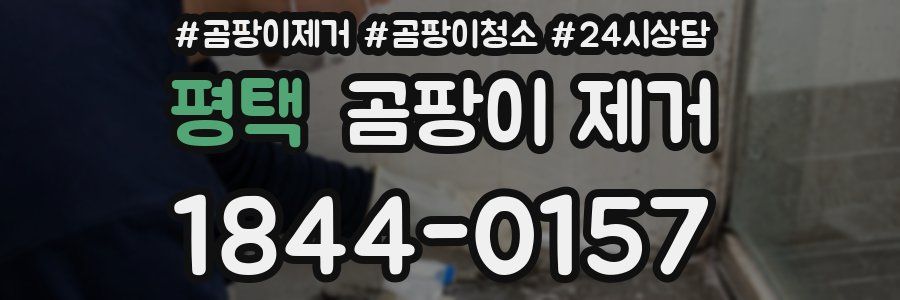 평택 곰팡이 제거