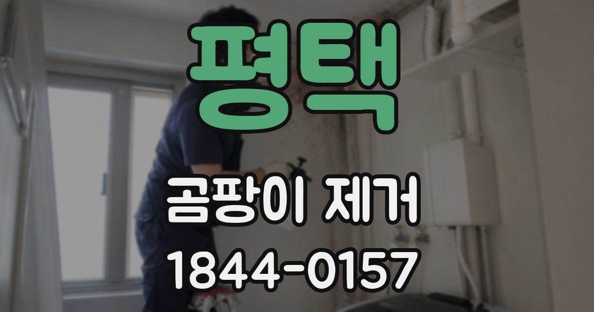평택 곰팡이 제거