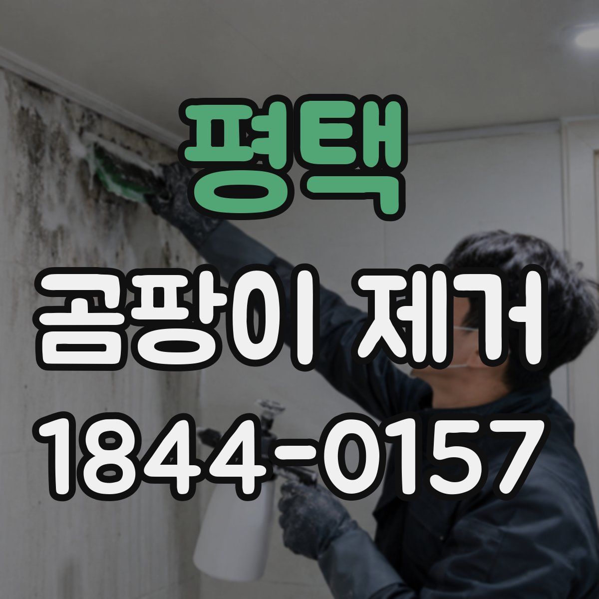 평택 곰팡이 제거