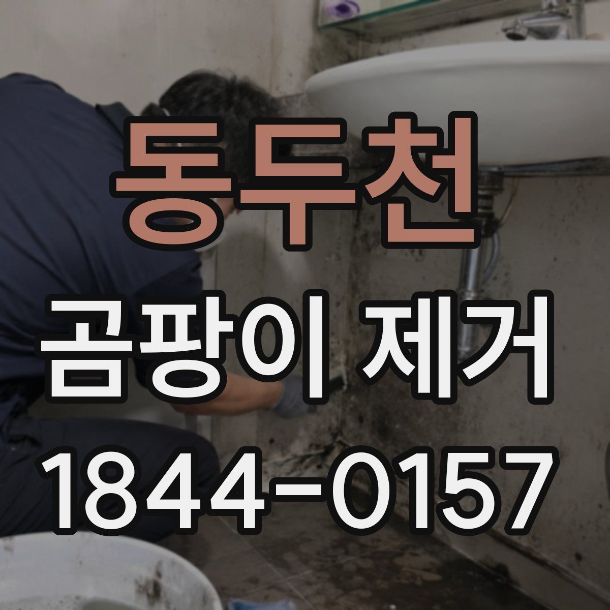 동두천 곰팡이 제거