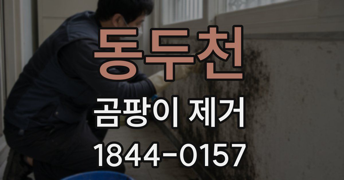 동두천 곰팡이 제거
