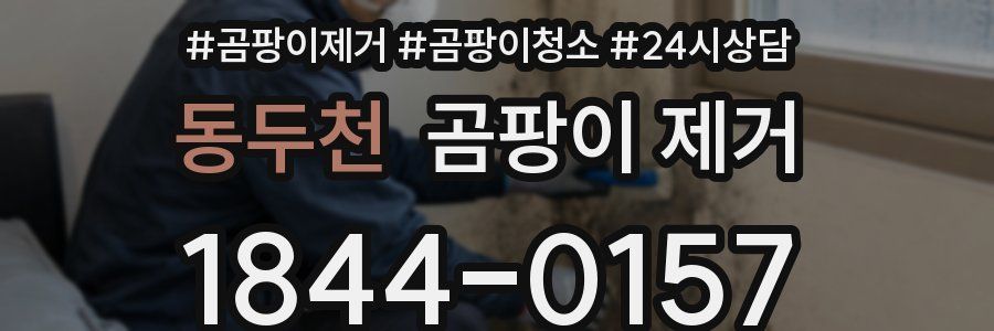 동두천 곰팡이 제거