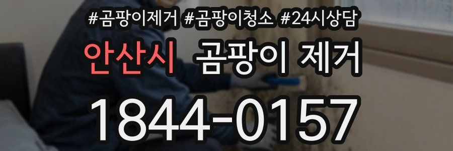 안산시 곰팡이 제거