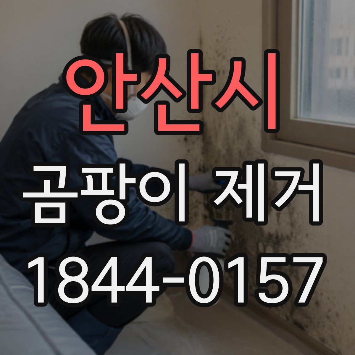 안산시 곰팡이 제거