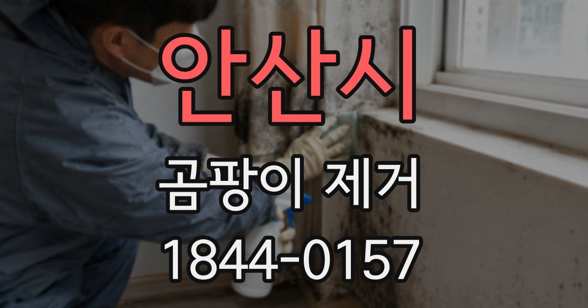 안산시 곰팡이 제거