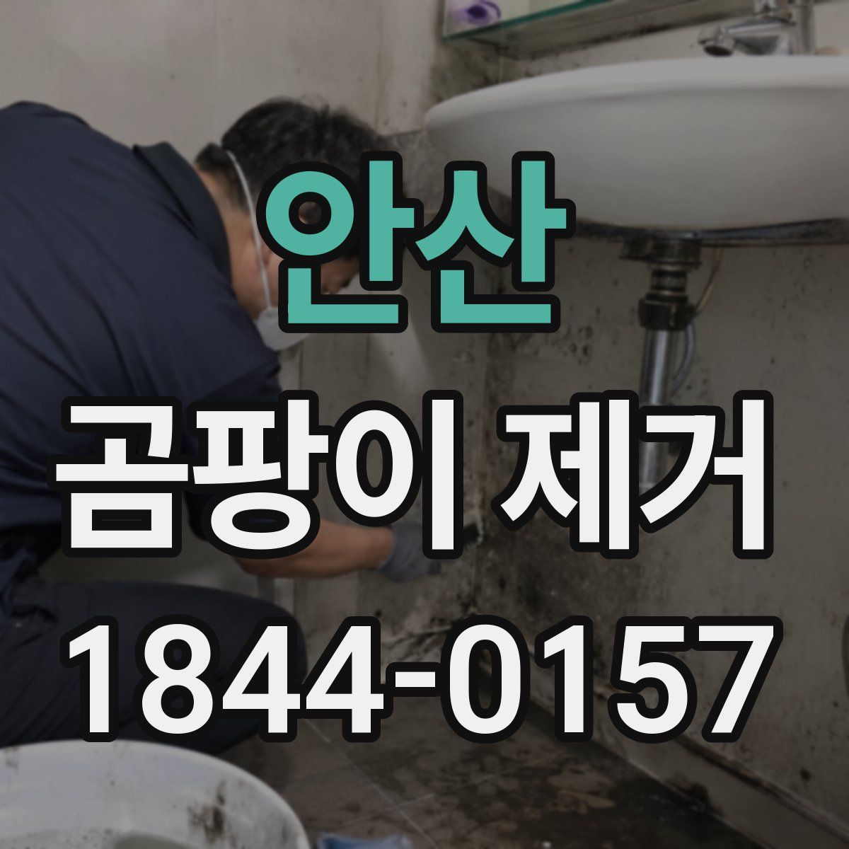 안산 곰팡이 제거