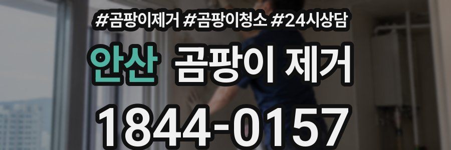 안산 곰팡이 제거