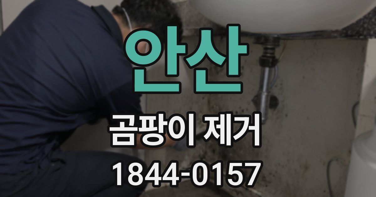 안산 곰팡이 제거