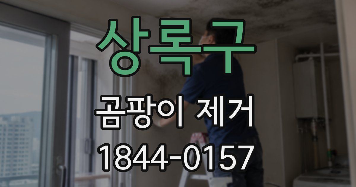 상록구 곰팡이 제거