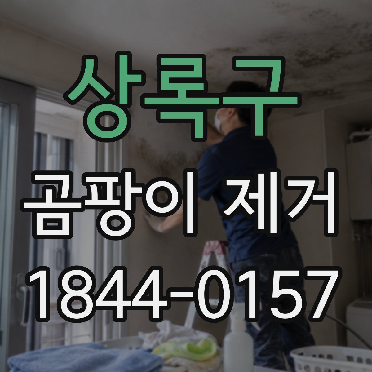 상록구 곰팡이 제거