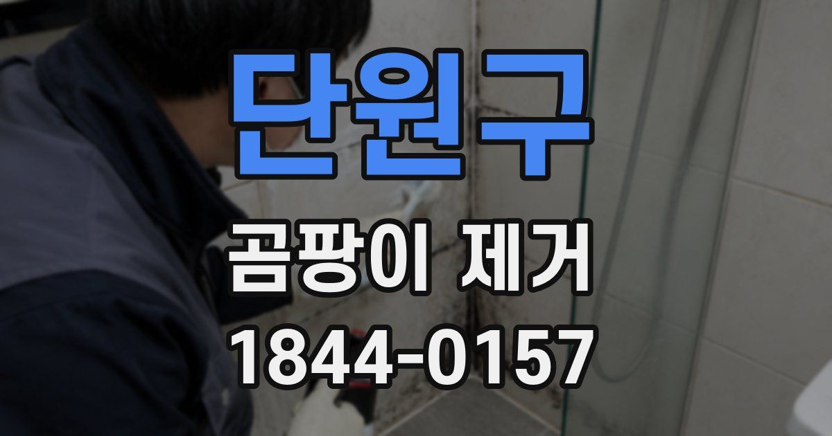 단원구 곰팡이 제거