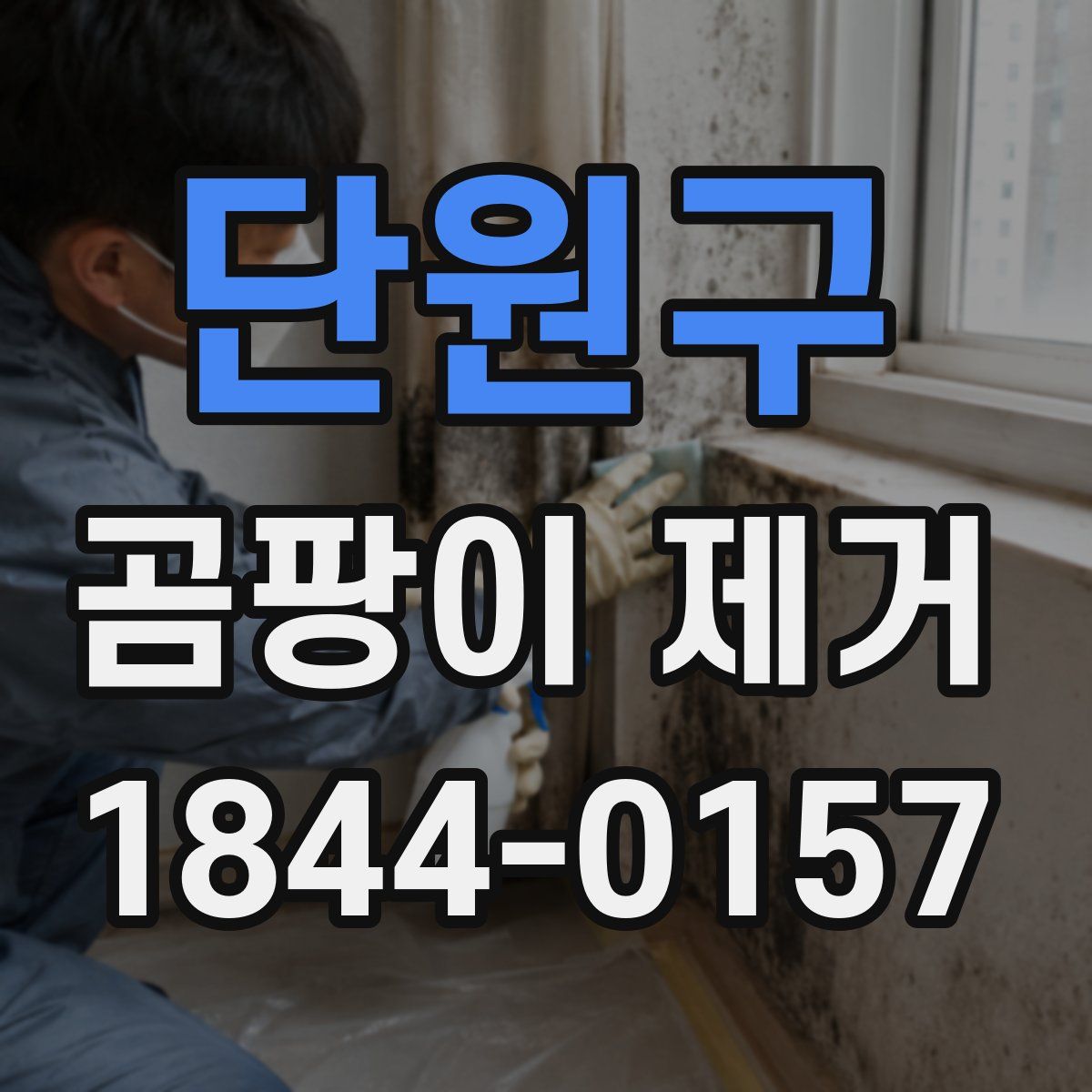 단원구 곰팡이 제거