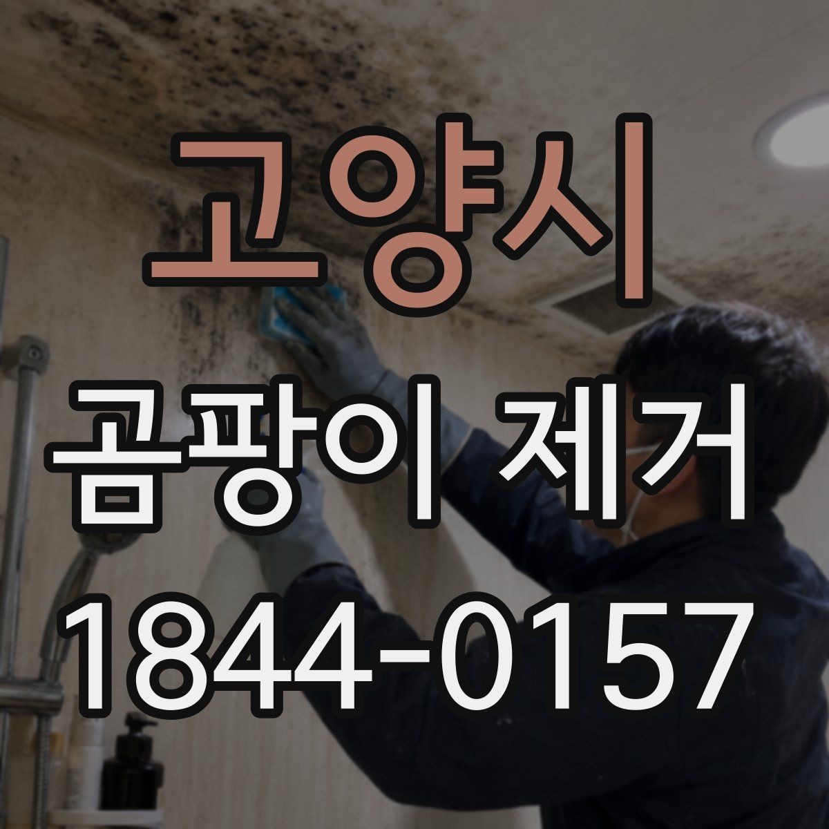 고양시 곰팡이 제거 장비가 필요한 상황을 구분하는 방법