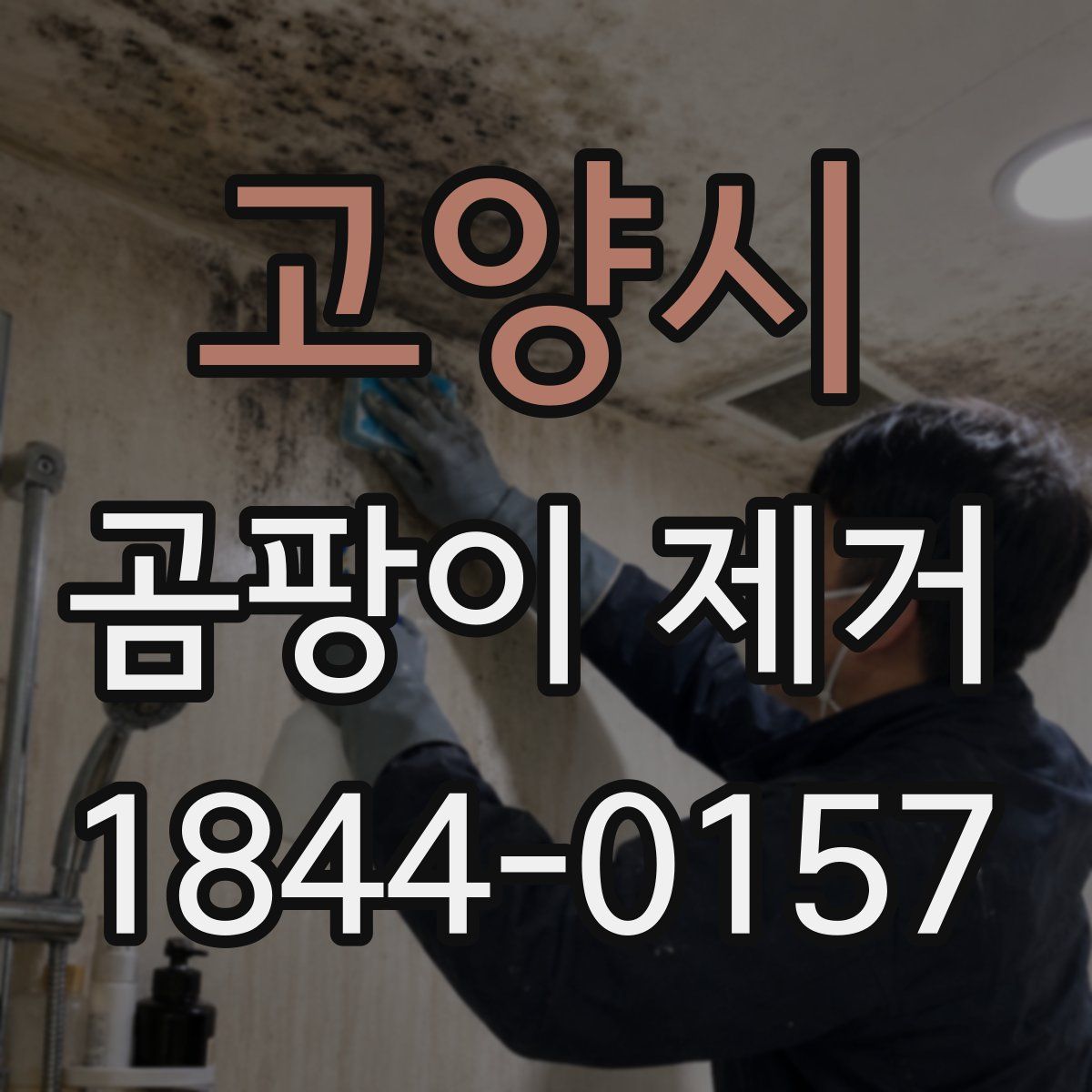 고양시 곰팡이 제거